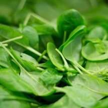 Espinafre é vida! Os benefícios do vegetal que dá força ao Popeye - Imagem de Thilo Becker por Pixabay


