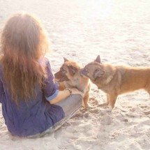 A humanidade merece os cachorros?