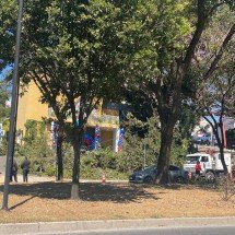 BH: árvore cai sobre fiação e deixa moradores sem energia elétrica - Clara Mariz/EM/D. A Press