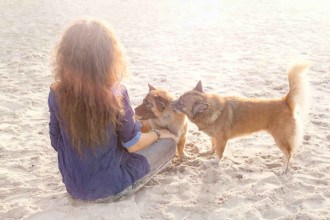 A humanidade merece os cachorros?