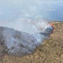 Combate de incêndio na Serra do Rola Moça é retomado nesta segunda (4/8) - Divulgação/CBMMG