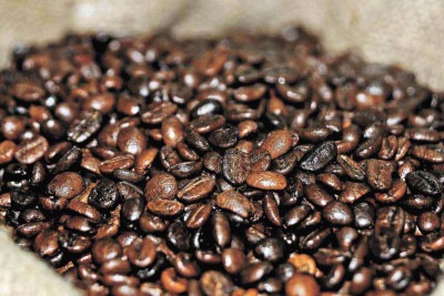 Técnicos da Confederação Nacional da Agricultura (CNA) estimam redução de até 25% no valor do café exportado para os Estados Unidos -  (crédito: Leandro Couri/EM/D.A Press)