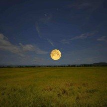 Lua do Esturjão e Lua do Milho Verde: herança ancestral no céu de agosto - Reprodução/Getty Images