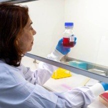 Butantan cria anticorpo para proteger grávidas contra o vírus Zika - José Felipe Batista/Renato Rodrigues/Reprodução