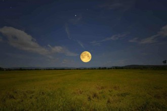 Lua do Esturjão e Lua do Milho Verde: herança ancestral no céu de agosto