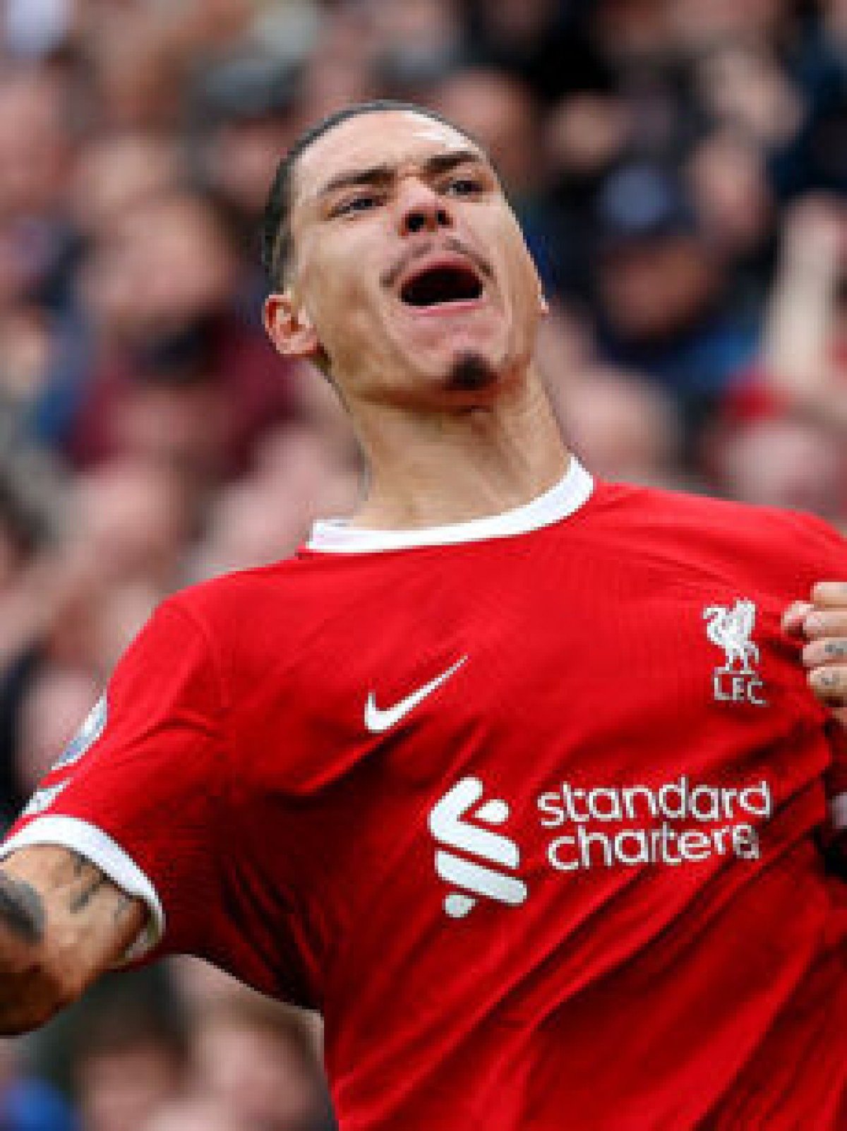 Liverpool acerta acordo por venda de Darwin Nuñez; veja valor -  Getty Images