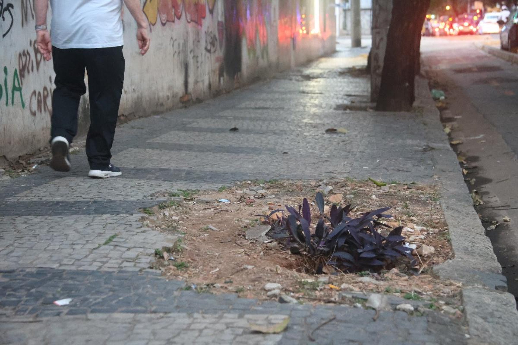 Kleber relata dificuldades de circular a pé pelo Bairro Lourdes por conta dos buracos e do mau estado das calçadas-Marcos Vieira /EM/DA. Press