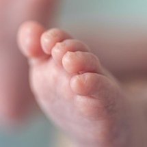 AME: diagnóstico precoce interfere na saúde e na qualidade de vida - pvproductions/FreePik