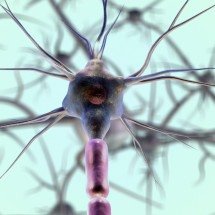 Esclerose múltipla: ferramenta prevê eficácia do natalizumabe em pacientes - Lakshmiraman Oza/Pixabay