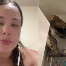 Teto desaba e baratas invadem apartamento em bairro ‘chique’