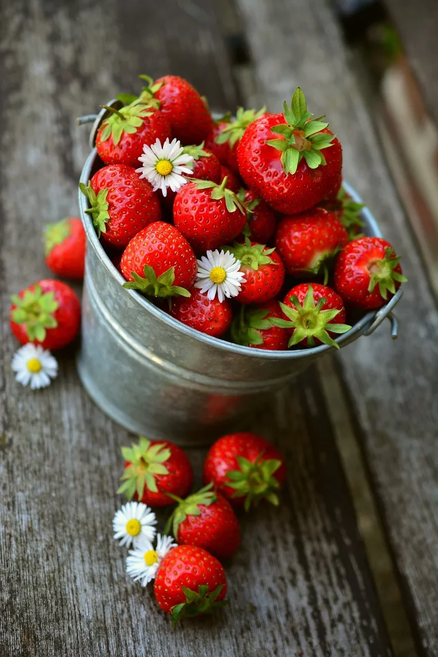Morango é versátil e delicioso, mas exige atenção; entenda o motivo - Imagem de congerdesign por Pixabay

