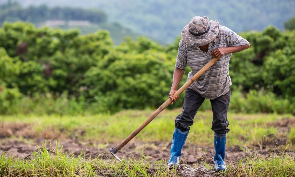 Vítima realizou um serviço de capina de lote com um colega, que alegou não ter recebido pagamento -  (crédito: Freepik)
