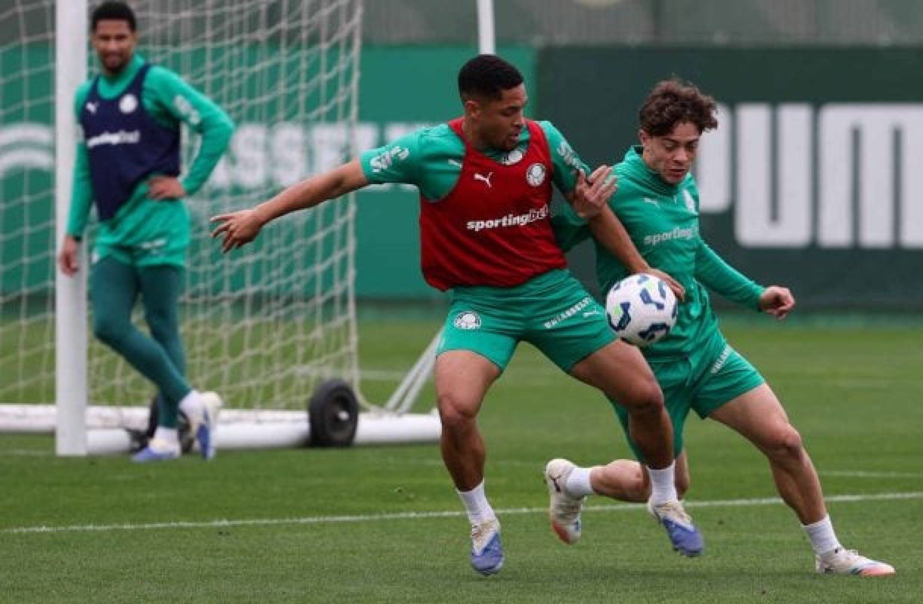 Palmeiras deve ter novidade para jogo contra o Ceará