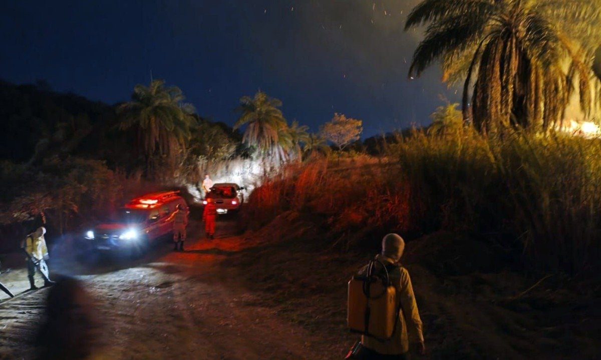 Combate ao incêndio durou cerca de 5 horas e contou com 13 bombeiros e nove brigadistas do IEF