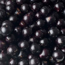 O meu pé de jabuticaba - Pedro Motta/Esp.EM/D.A Press