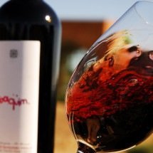 6 cidades brasileiras para quem quer conhecer vinícolas e degustar vinhos - Credito Reproducao da internet -