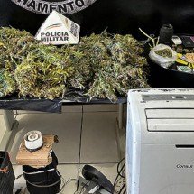 PM desmantela laboratório de drogas no interior - PMMG
