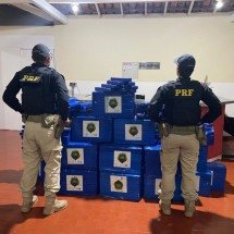 Paranaenses são presos com mais de meia tonelada de drogas na BR-251, em MG - PRF/Divulga&ccedil;&atilde;o