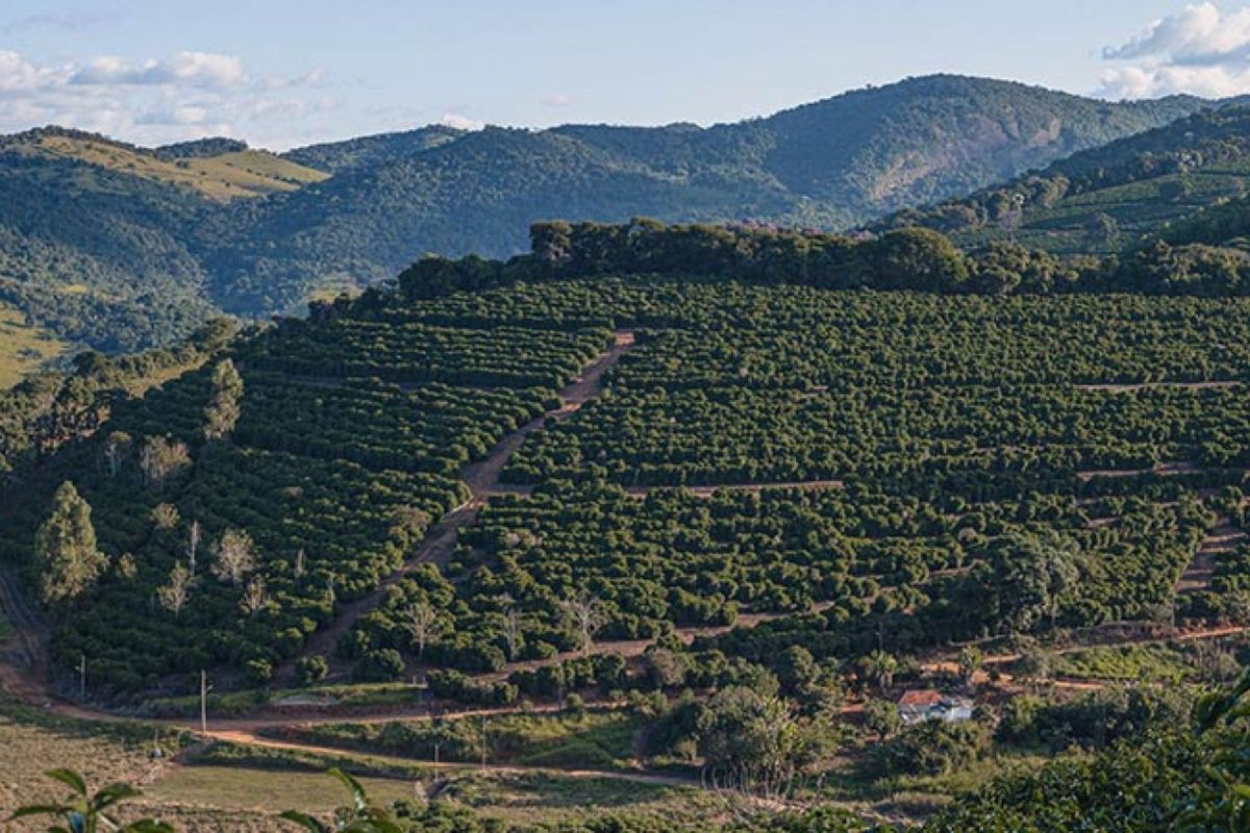Fazenda Sertao -Divulgação Fazenda Sertao 