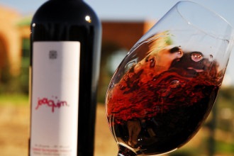 6 cidades brasileiras para quem quer conhecer vinícolas e degustar vinhos
