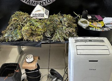 Drogas apreendidas no laboratório de drogas de Matinha -  (crédito: PMMG)