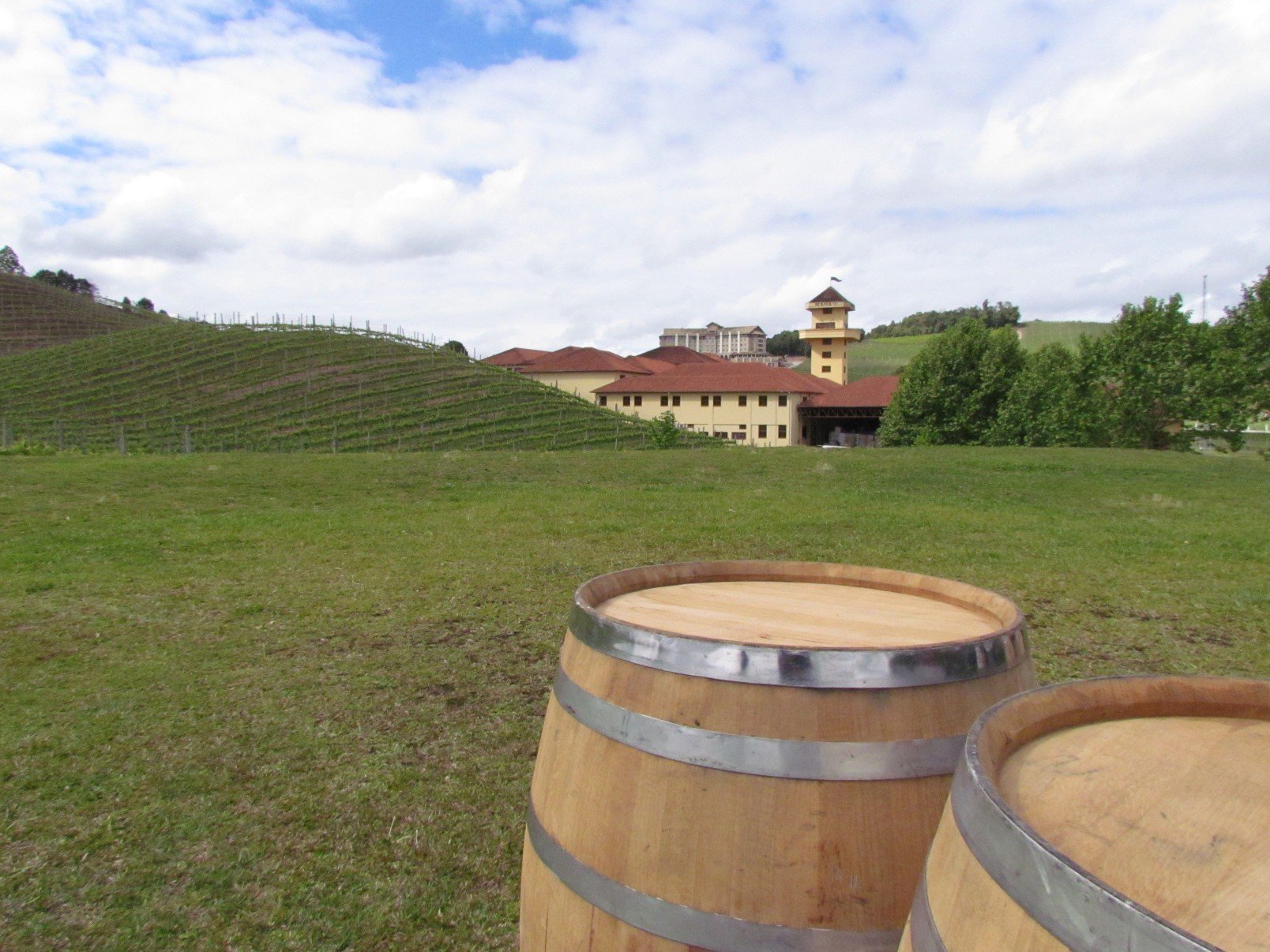  Vinicola Miolo, em Bento Goncalves (RS)
      - Shirley Pacelli/EM/D.A.Press
