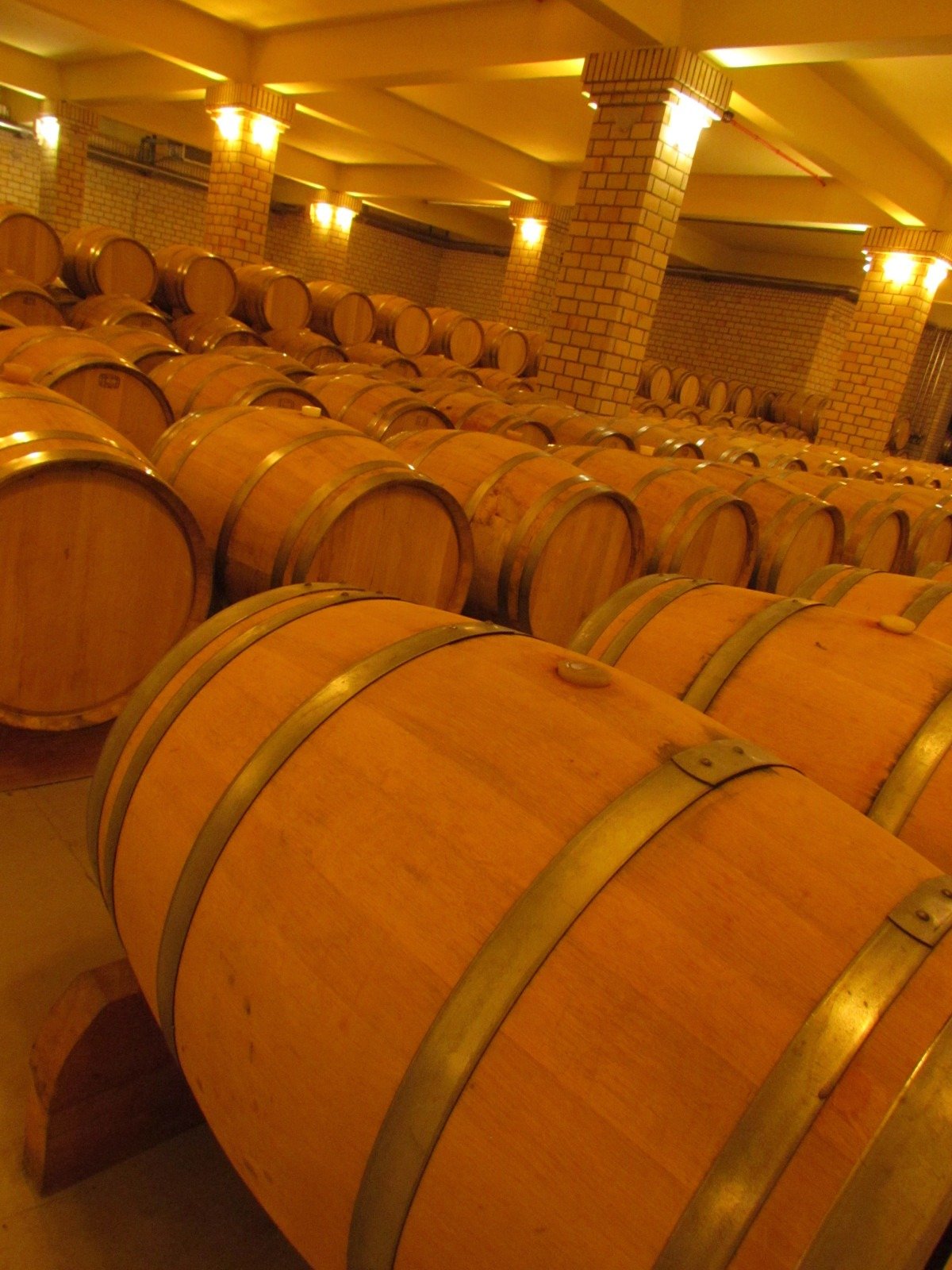 Cave da vinicola Miolo, em Bento Goncalves (RS)
      - Shirley Pacelli/EM/D.A.Press
