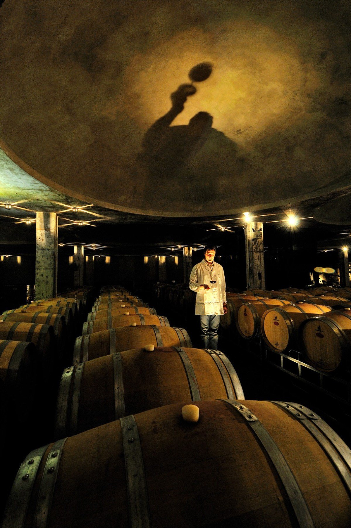 Cave da Vinicola Luiz Argenta, em Flores da Cunha, Altos Montes (RS)
      - Luiz Argenta/Divulgacao- 