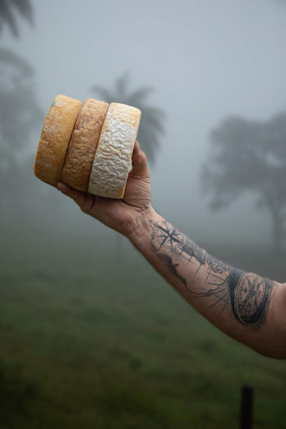 Queijos da Rota do Queijo da Canastra serão servidos no festival De Pão e Queijo