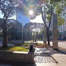Tempo em BH: qual a previsão para o feriadão na capital? - Alexandre Guzansche/EM/D.A.Press