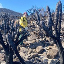 Incêndio atinge entorno da Serra do Cipó, na Região Metropolitana de BH - Reprodu&ccedil;&atilde;o Brigada do Cip&oacute;