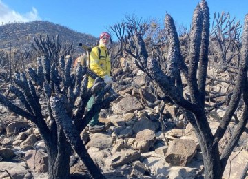 Um incêndio atinge a vegetação na região de São José da Serra, distrito de Jaboticatubas, na Região Metropolitana de BH e entorno da Serra do Cipó -  (crédito: Reprodução Brigada do Cipó)