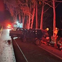 Acidente na BR-365 deixa dois mortos e uma pessoa em estado grave - Reprodução/CBMMG