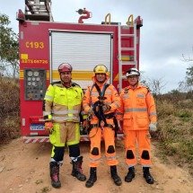 Bombeiros resgatam cão em poço de 8 metros; veja vídeo - CBMMG/Divulgação