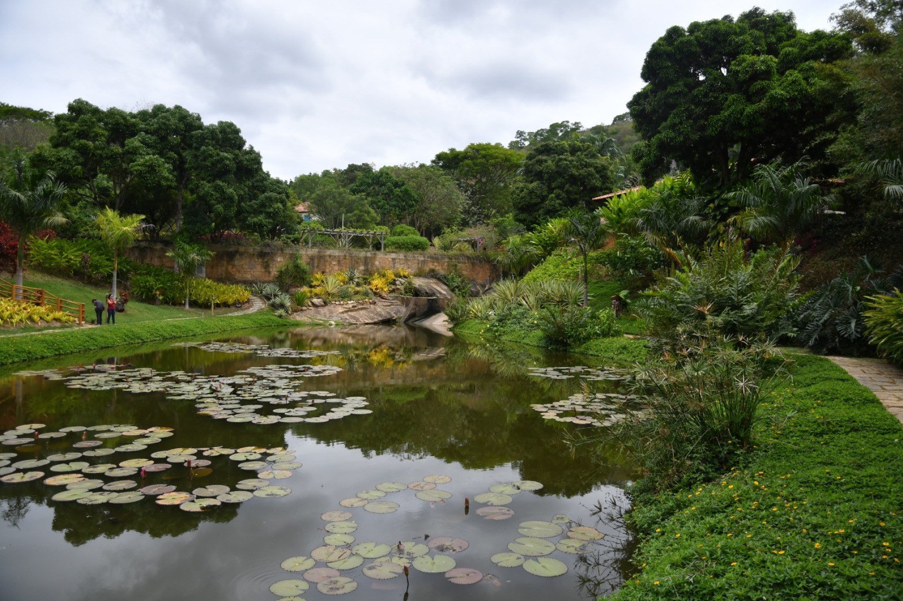 Rio e matas do Instituto Terra, em Aimorés, Minas Gerais