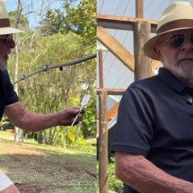 'Estou plantando comida, não ódio': Lula manda recado a Trump do seu jardim - Redes Sociais