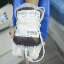 STF confirma direito de recusar transfusão de sangue por conta de religião - Tomaz Silva/Agência Brasil