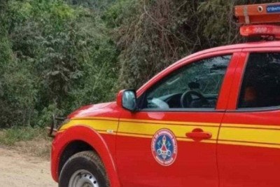 No combate, foram utilizadas três viaturas e atuaram guarnições do 3º Batalhão de Bombeiros Militar e do 1º Batalhão de Bombeiros Militar. -  (crédito: Reprodução CBMMG - Imagem ilustrativa)