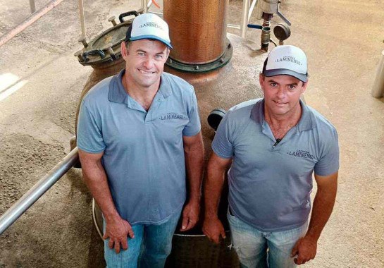 Uma cachaça a cada esquina