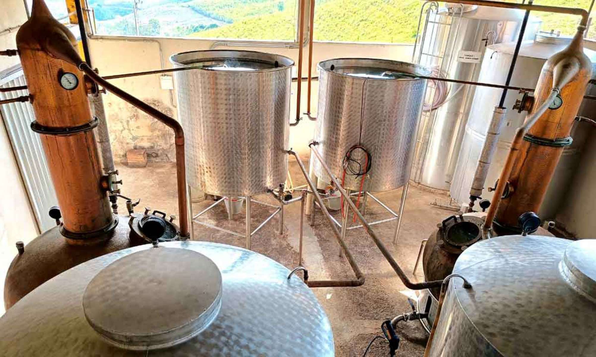 A produção anual da marca de cachaça Laminense gira em torno de 40 mil a 50 mil litros, basicamente sem envelhecimento 