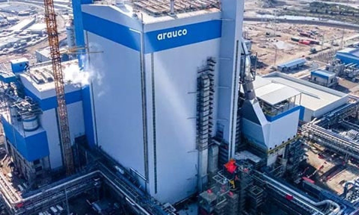 Megainvestimento: Empresa chilena vai construir fábrica de celulose no Brasil -  Divulgação