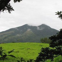 Imersão virtual na natureza pode agir como analgésico para dores crônicas -  Andrés Berrocal Soto wikimedia commons