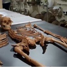 Arqueólogos descobrem novos restos de pessoas 'vampiras' na Polônia - Reprodução de vídeo G1