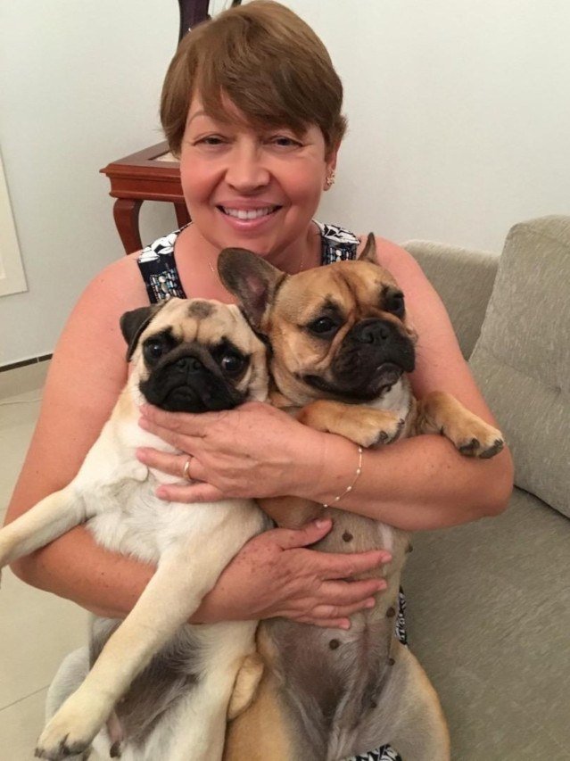 Cães