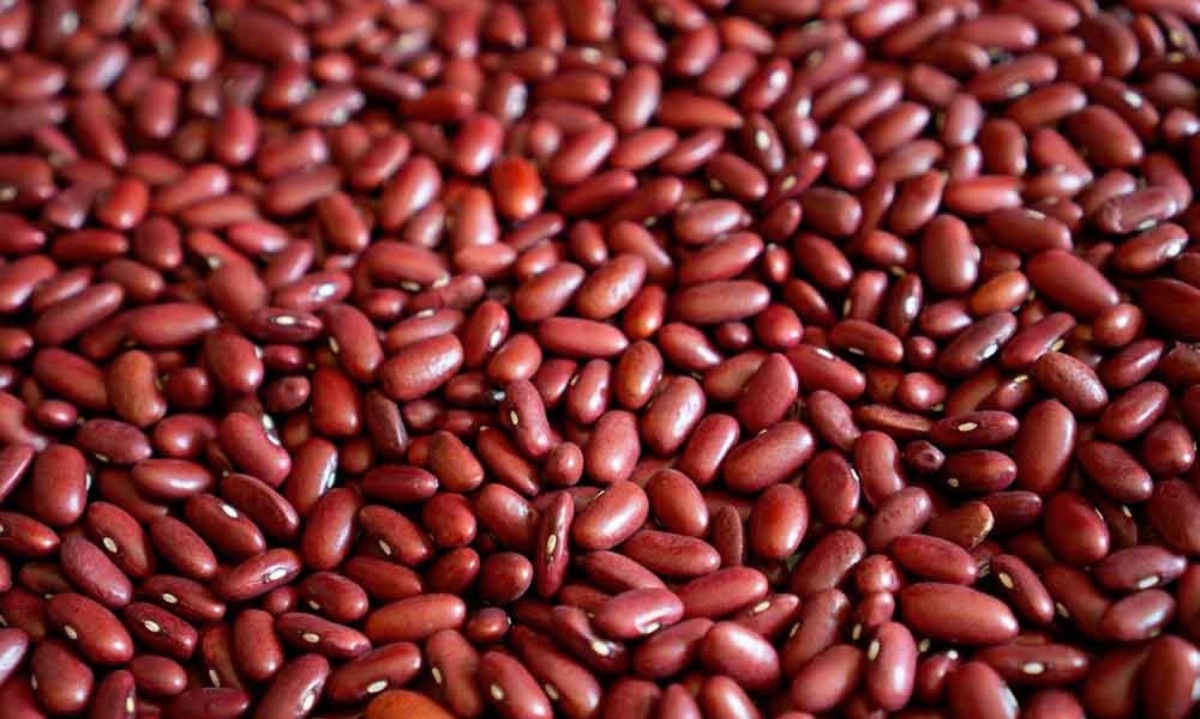 Rico em proteínas, o feijão é benéfico para o controle de peso -  (crédito: Pixabay/reprodução)