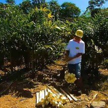 PIB desacelera e fecha 2025 com alta de 2,3%, menor taxa em 5 anos; ranking -  Reprodução de Youtube Canal CGS Share