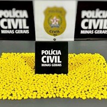 ‘Abacaxizinho’: PC apreende R$ 100 mil em comprimidos da droga sintética - PCMG/Divulga&ccedil;&atilde;o