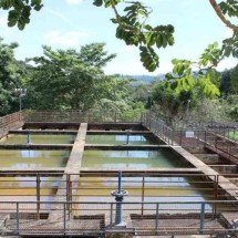 Falta de chuva: cidade mineira decreta situação de emergência - Arquivo/Saae Itabira