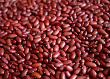 Rico em proteínas, o feijão é benéfico para o controle de peso -  (crédito: Pixabay/reprodução)