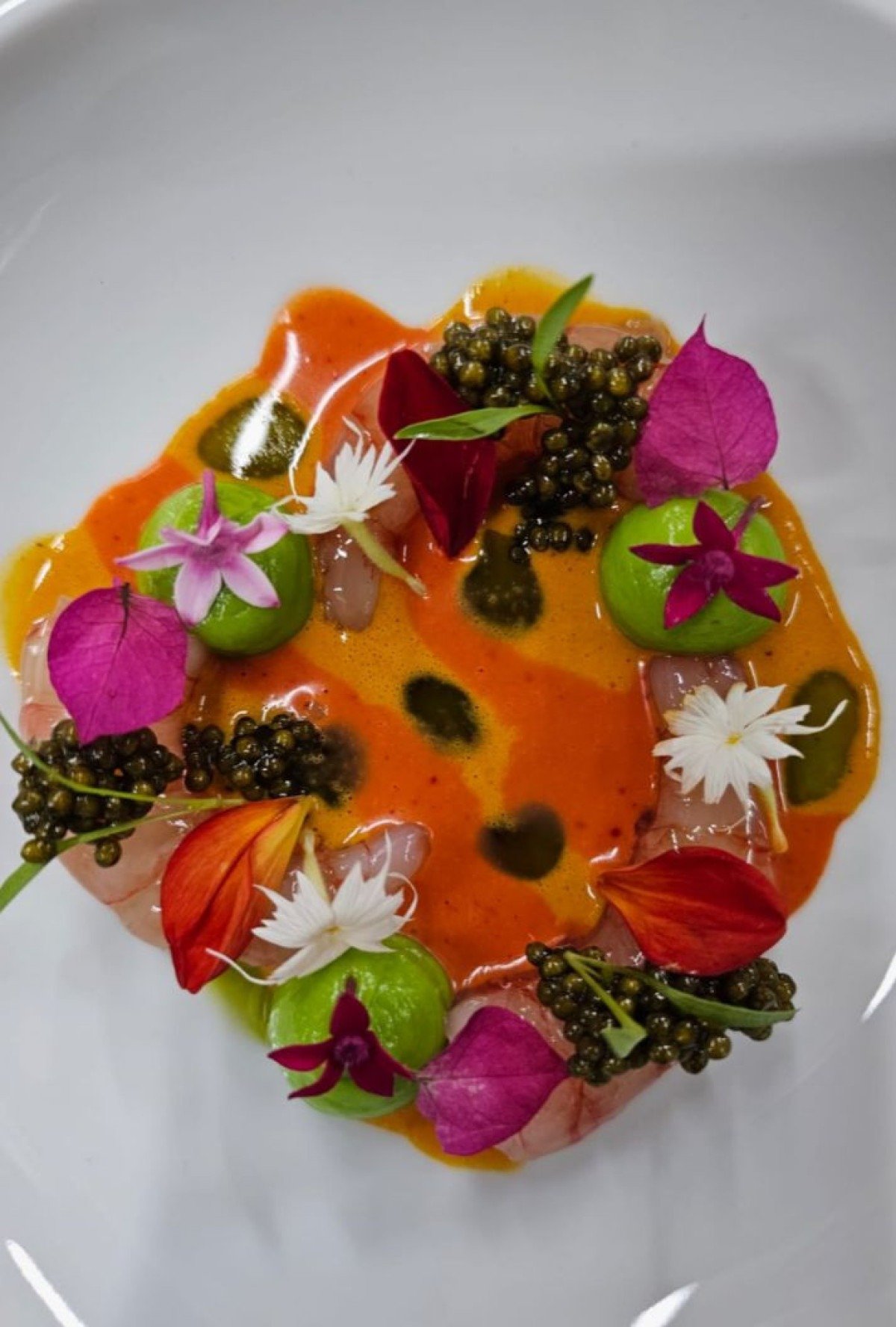 A estrela da entrada do português Vitor Matos é o camarão violeta da região do Algarve 